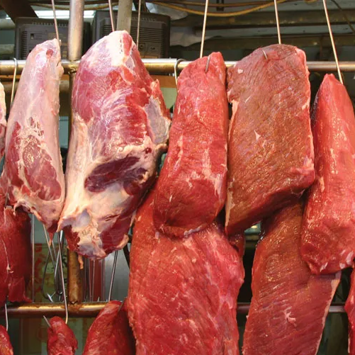 Animal Flesh