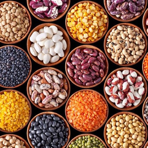 Legume