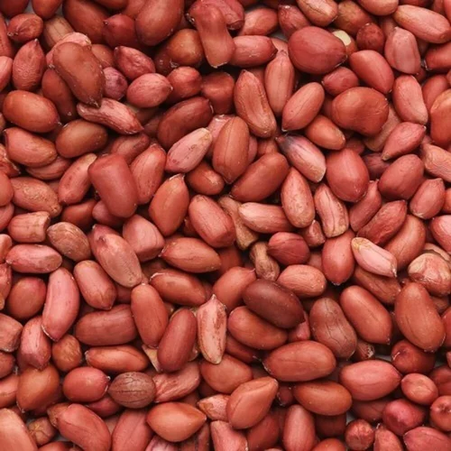 Ground nut, Leguminosae